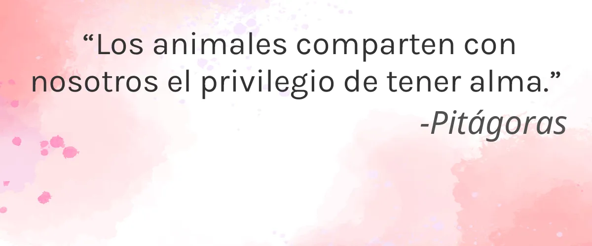 Beverly To 5th 4 Cruelty Free Beverly To 5th cita-Pitágoras