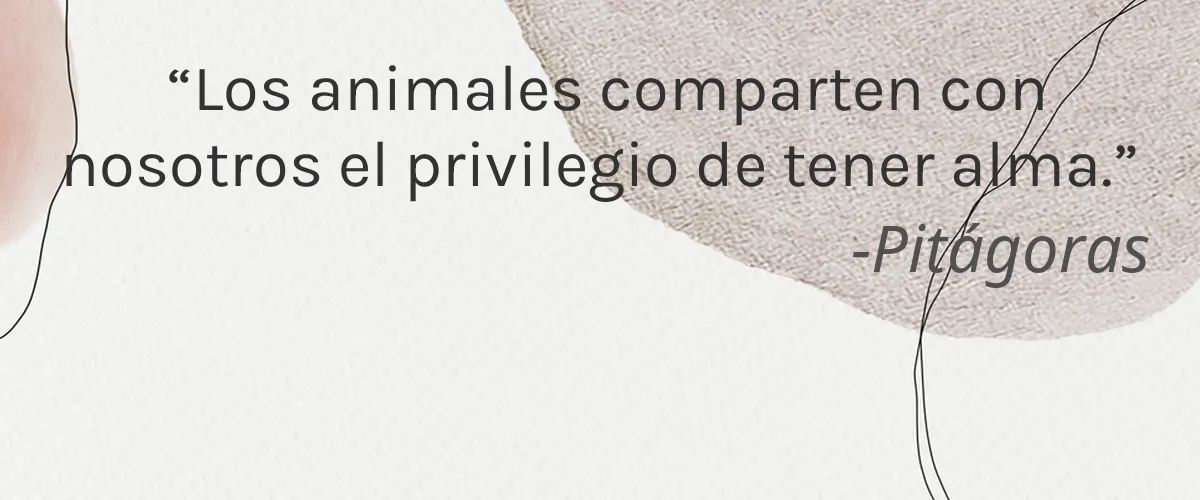 Cruelty Free Bielenda cita-Pitágoras