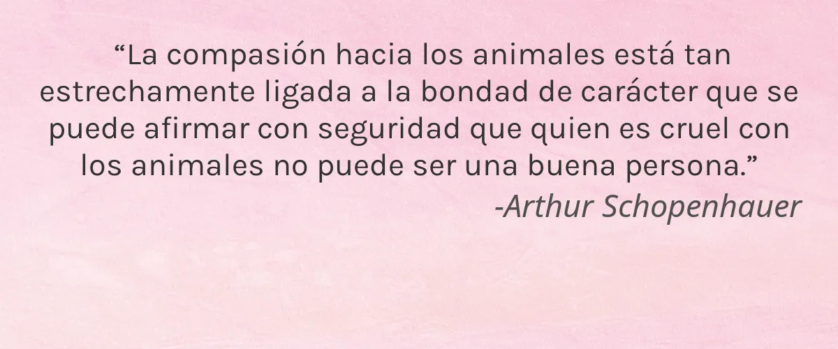 Biss 25 4 Cruelty Free Biss 25 cita-Arthur Schopenhauer