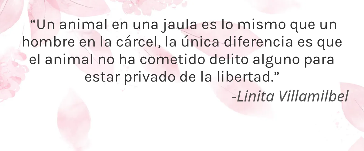 Black Up 4 Cruelty Free Black Up cita-Linita Villamilbel
