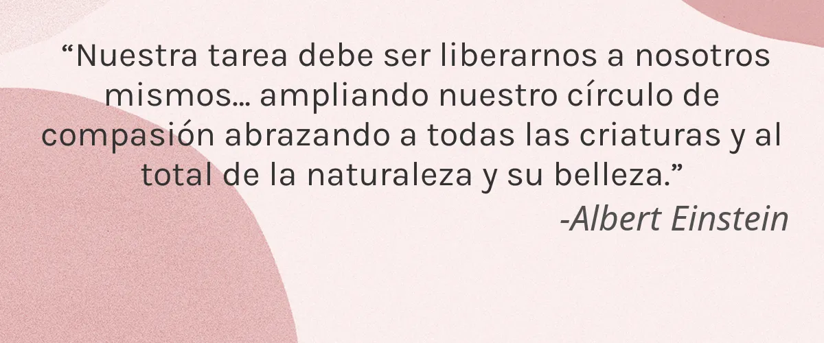 blinc 4 Cruelty Free blinc cita-Albert Einstein
