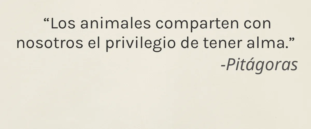 Cruelty Free Blissful Organix cita-Pitágoras