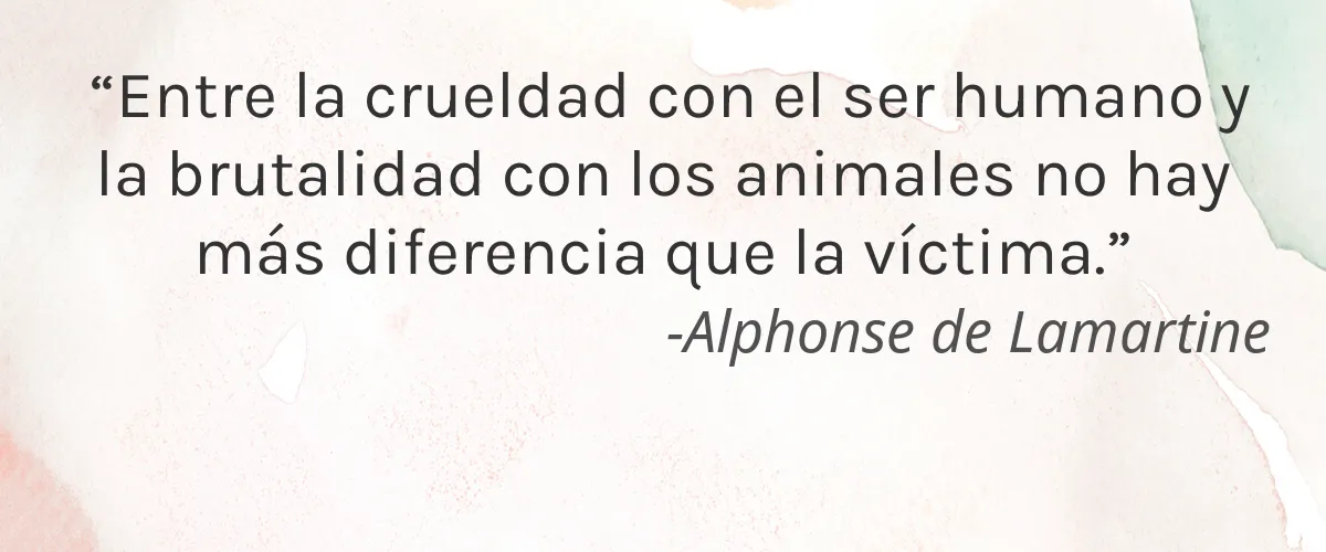 Cruelty Free Blu Ink Nail Lacquer cita-Alphonse de Lamartine