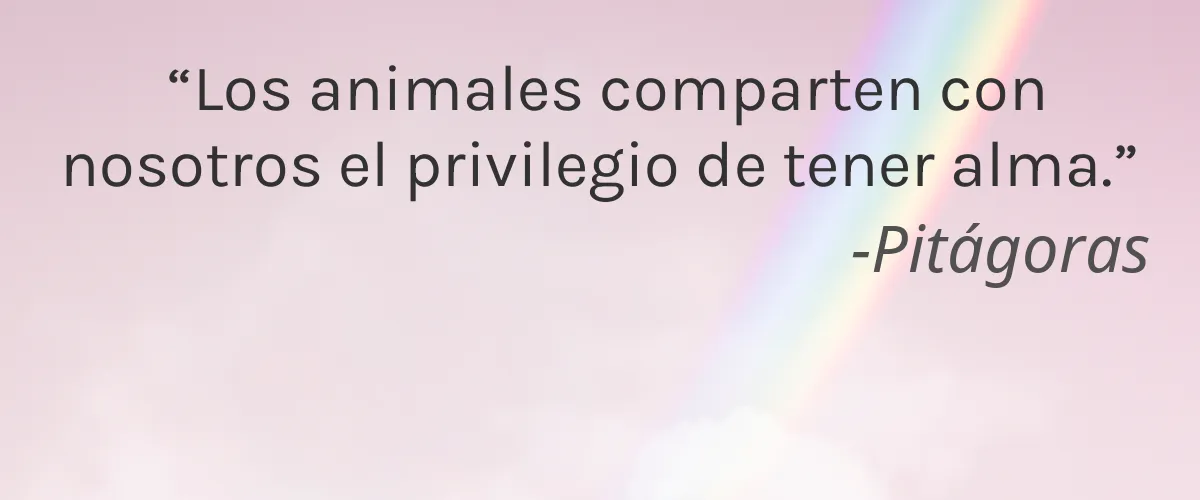 Blueland 4 Cruelty Free Blueland cita-Pitágoras