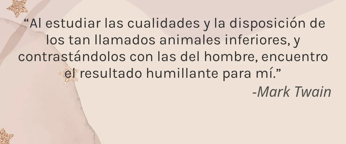 Blueseeds 4 Cruelty Free Blueseeds cita-Mark Twain