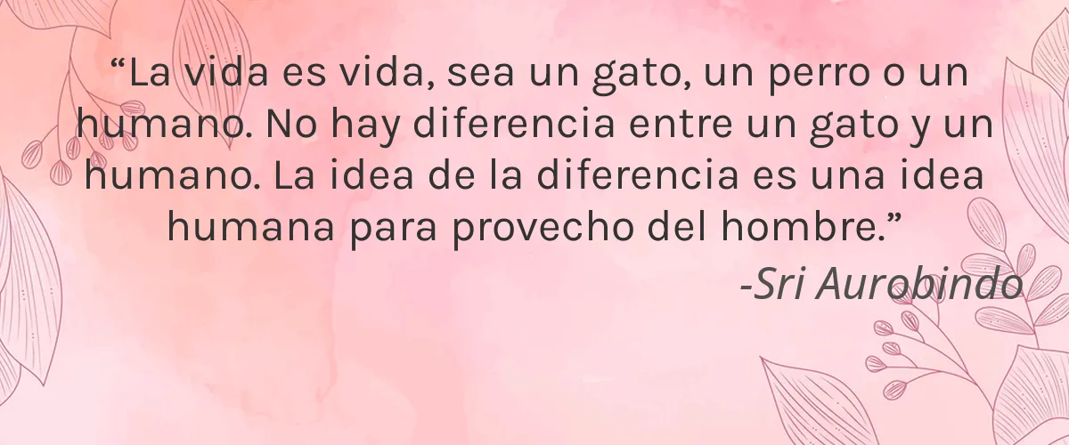 Blume 4 Cruelty Free Blume cita-Sri Aurobindo
