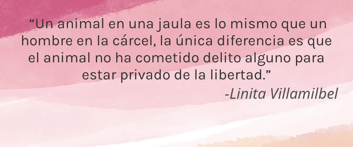 BLVDskin 4 Cruelty Free BLVDskin cita-Linita Villamilbel