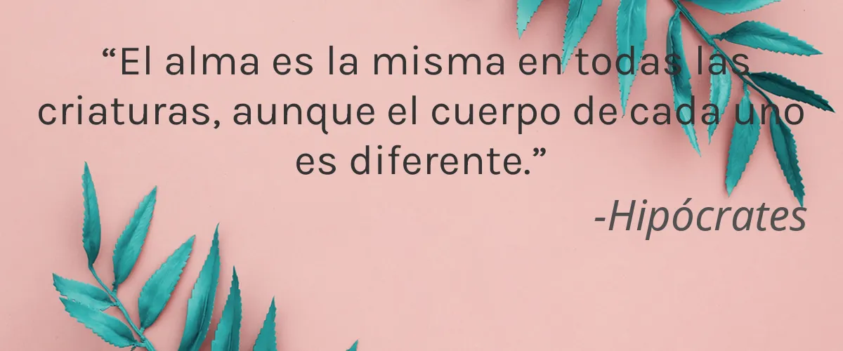 Bodyscential 4 Cruelty Free Bodyscential cita-Hipócrates