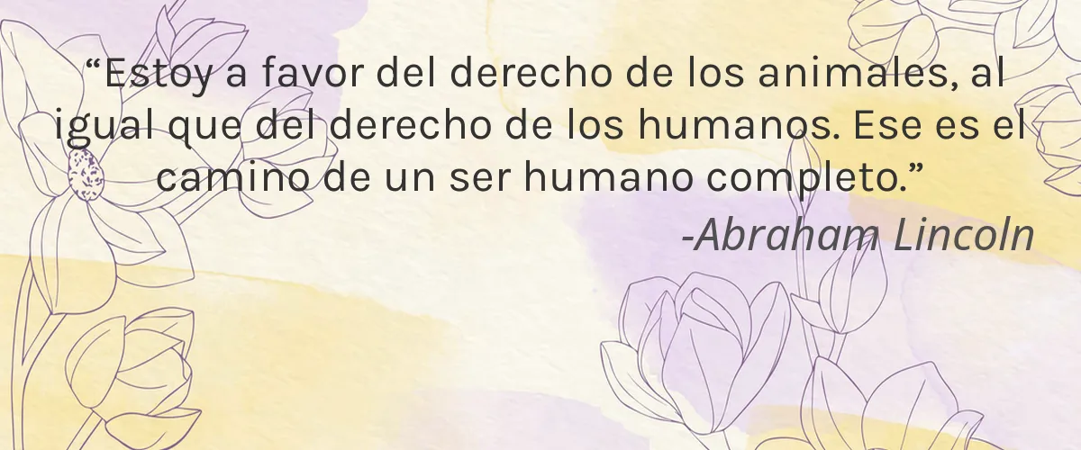 Bohemian Plant Based Products 4 Cruelty Free Bohemian Plant Based Products cita-Abraham Lincoln