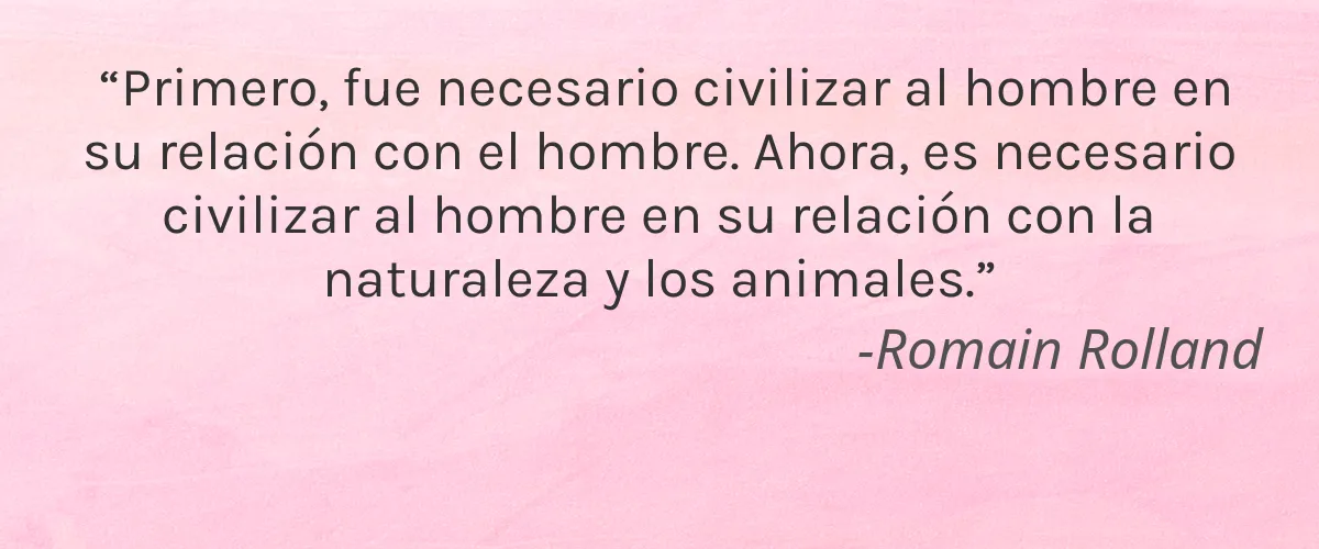 Boody Wear 4 Cruelty Free Boody Wear cita-Romain Rolland