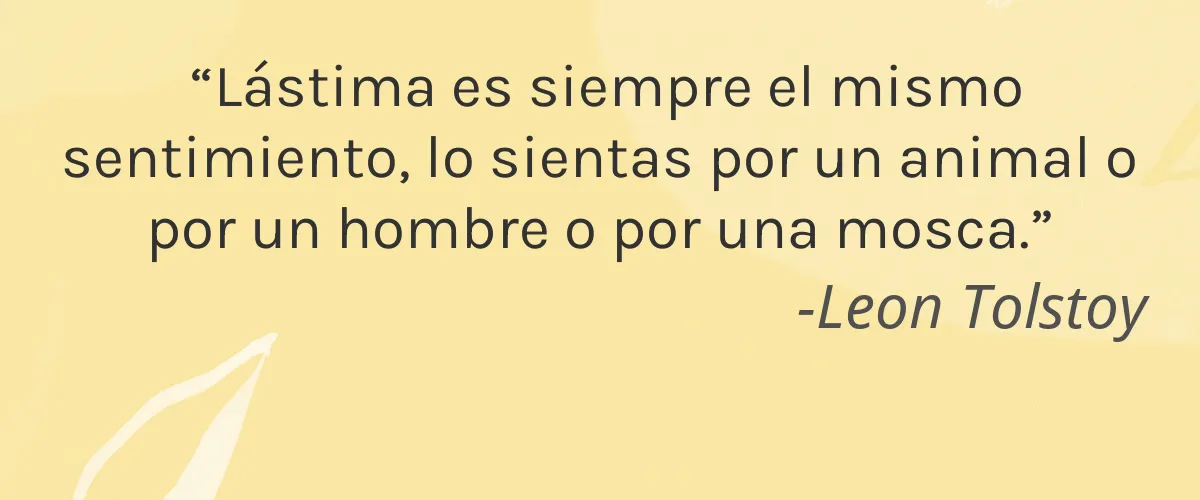 Cruelty Free Boston Creations cita-Leon Tolstoy