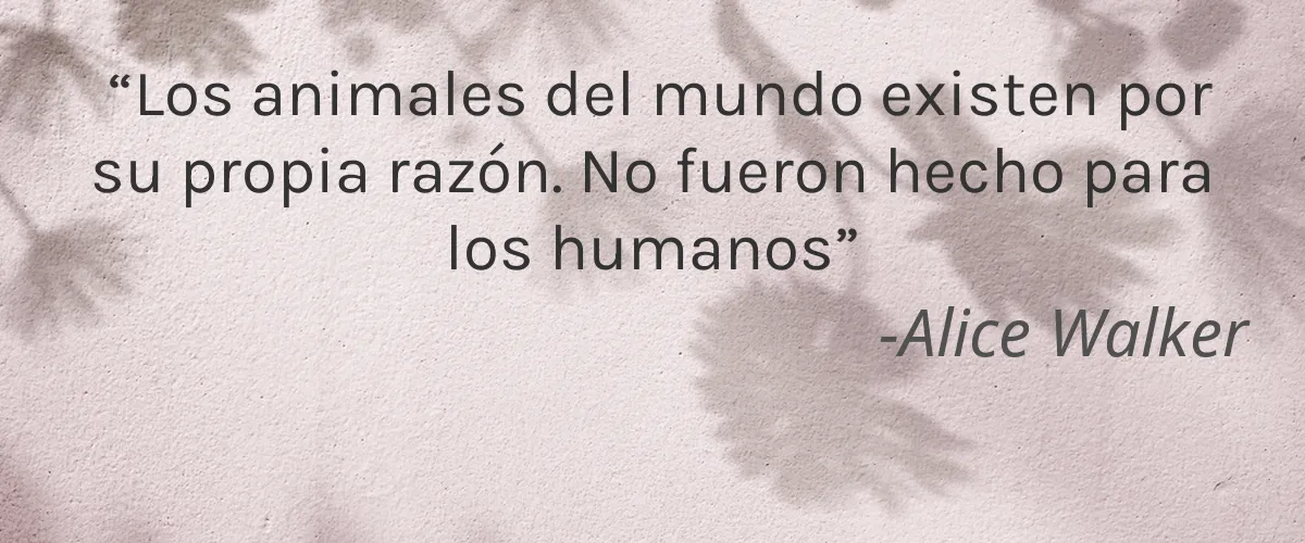 Boudica 4 Cruelty Free Boudica cita-Alice Walker