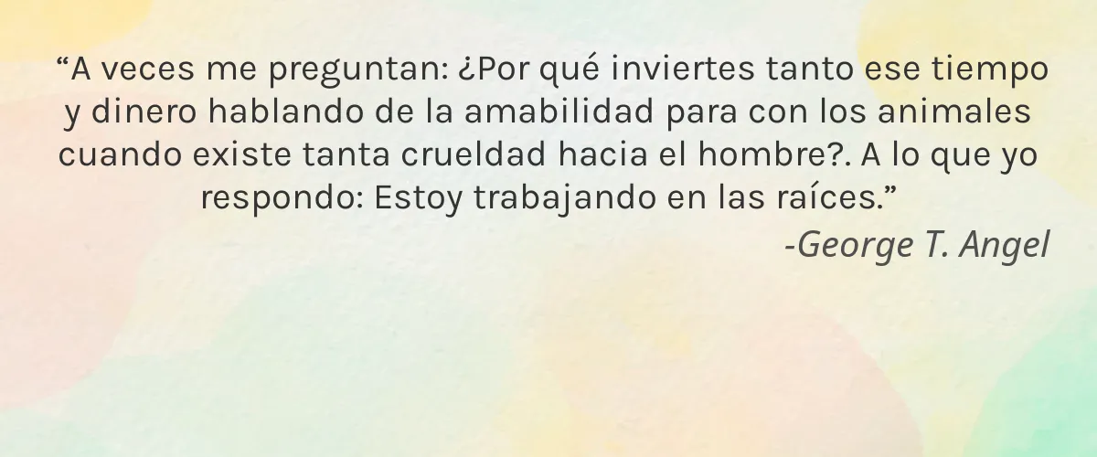 b.tan 5 Cruelty Free b.tan cita-George T. Angel
