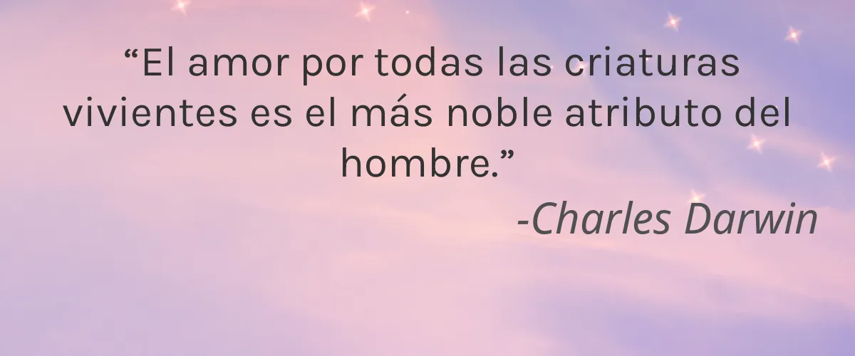 Bua Organics 4 Cruelty Free Bua Organics cita-Charles Darwin