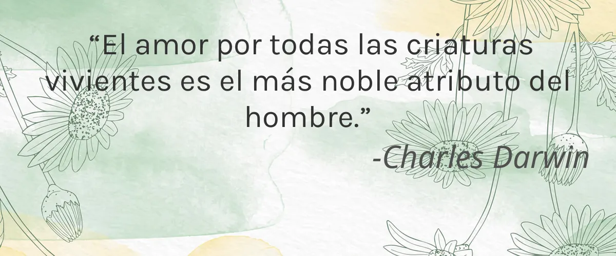 Bubble Land 4 Cruelty Free Bubble Land cita-Charles Darwin