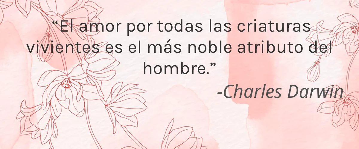 Byers Boutique 4 Cruelty Free Byers Boutique cita-Charles Darwin