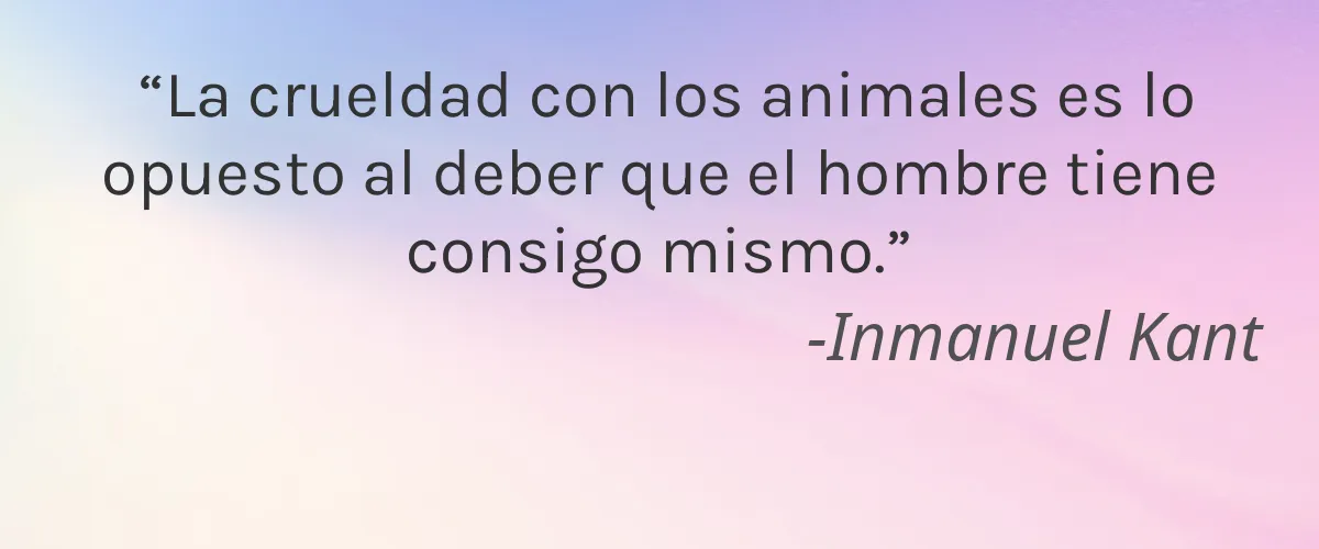 byu-dih-fuhl Skin and Body Works 4 Cruelty Free byu-dih-fuhl Skin and Body Works cita-Inmanuel Kant