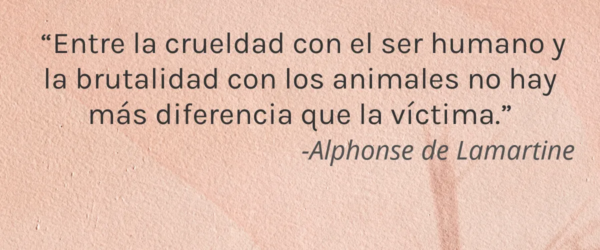 Caitlin’s Super Natural 4 Cruelty Free Caitlins Super Natural cita-Alphonse de Lamartine