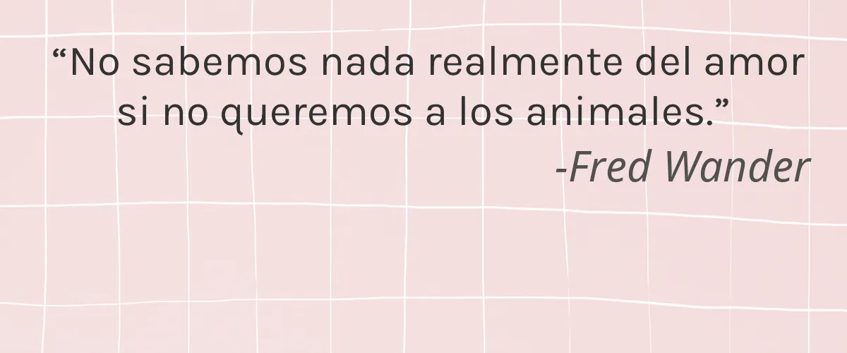 Caldrea 4 Cruelty Free Caldrea cita-Fred Wander