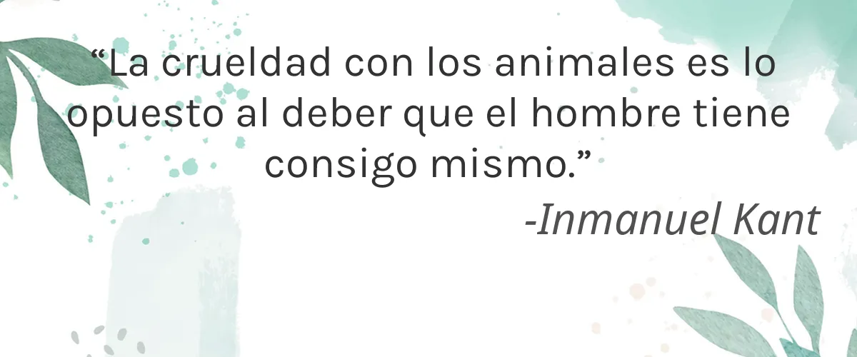 CannaSmack 4 Cruelty Free CannaSmack cita-Inmanuel Kant