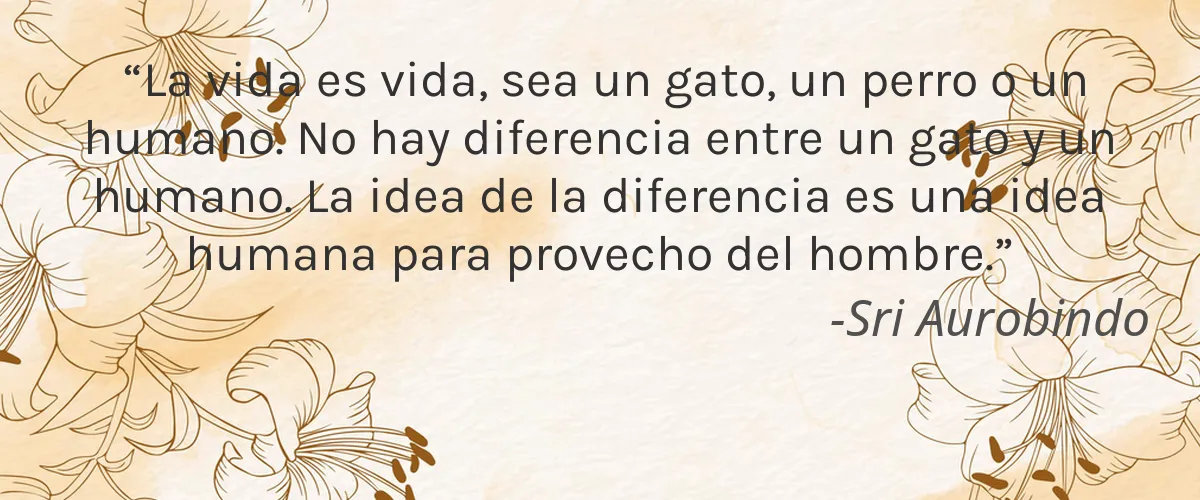 Careté 4 Cruelty Free Carete cita-Sri Aurobindo