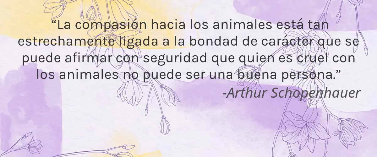 Carpeli Grooming & Personal Care 4 Cruelty Free Carpeli Grooming & Personal Care cita-Arthur Schopenhauer