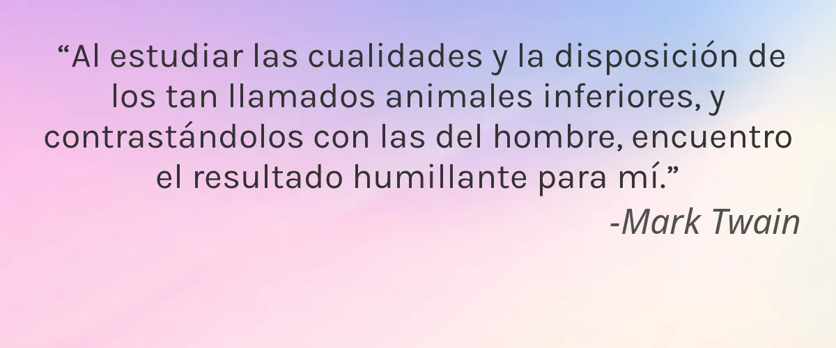 Castle Baths Exotic Earth 4 Cruelty Free Castle Baths Exotic Earth cita-Mark Twain