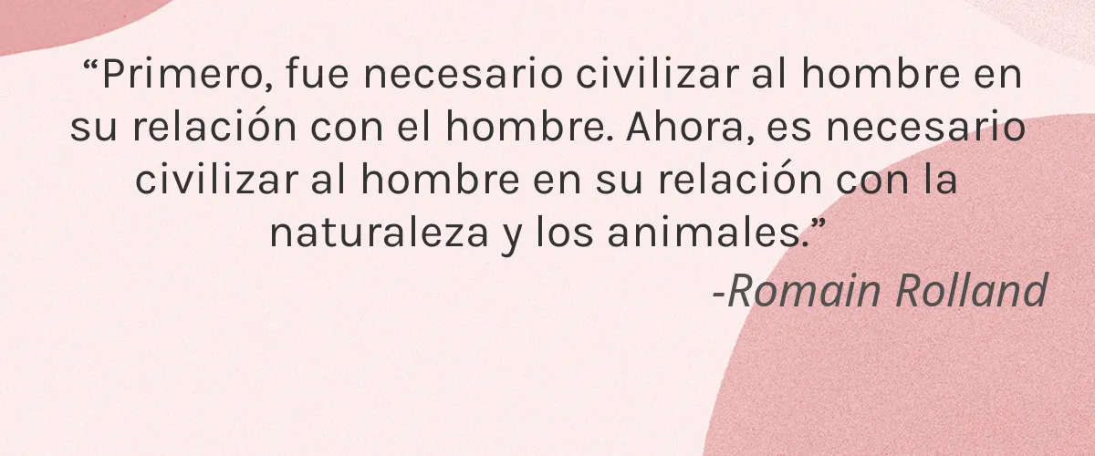 CELLETOI™ 4 Cruelty Free CELLETOI cita-Romain Rolland