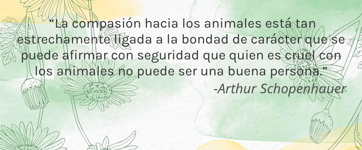 Cruelty Free Centric Brands cita-Arthur Schopenhauer