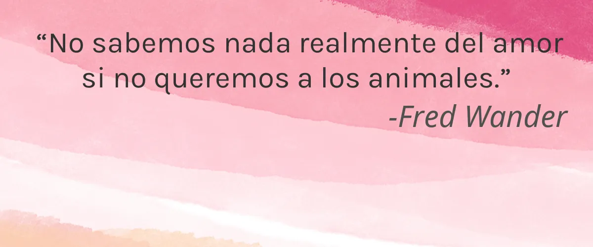 Cheer (Procter & Gamble) 8 Cruelty Free Cheer (Procter & Gamble) cita-Fred Wander