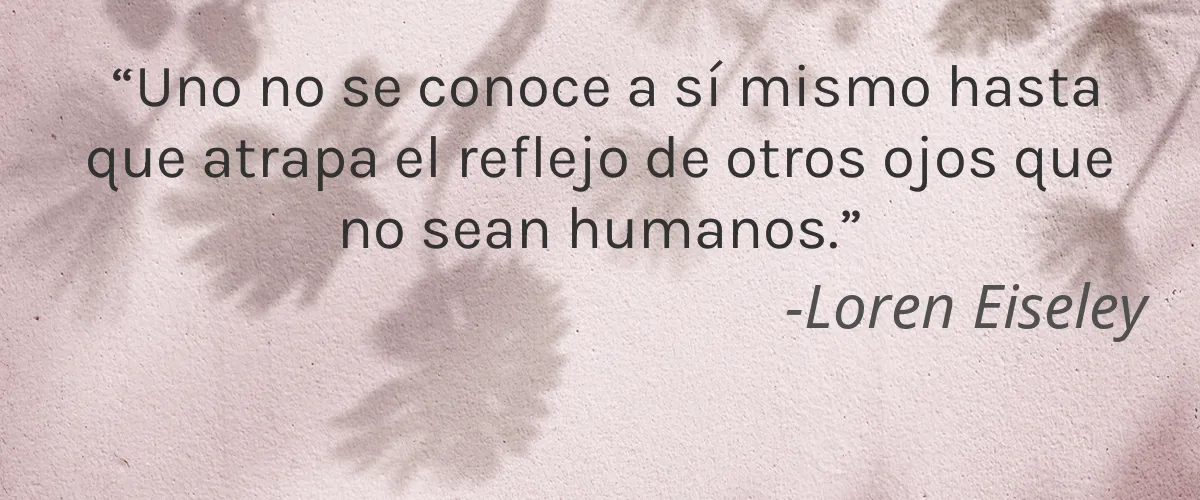 CITRUSWAY 4 Cruelty Free CITRUSWAY cita-Loren Eiseley