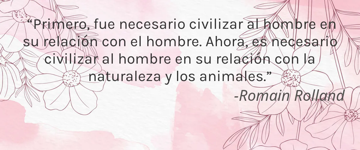 Clay And Glow 4 Cruelty Free Clay And Glow cita-Romain Rolland