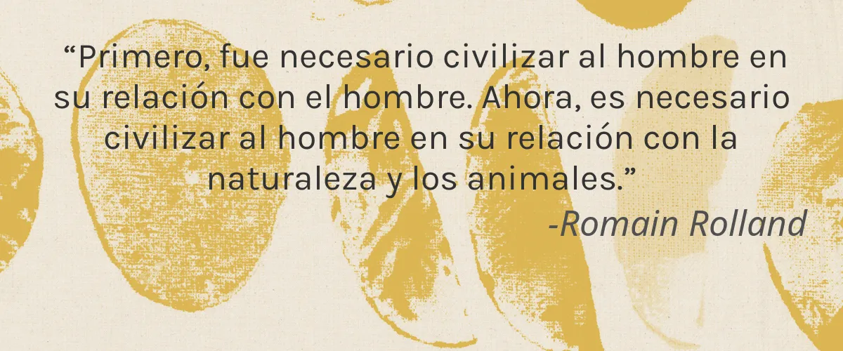 Cleaning Studio 5 Cruelty Free Cleaning Studio cita-Romain Rolland