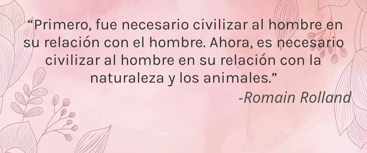 Clearly Basics 4 Cruelty Free Clearly Basics cita-Romain Rolland