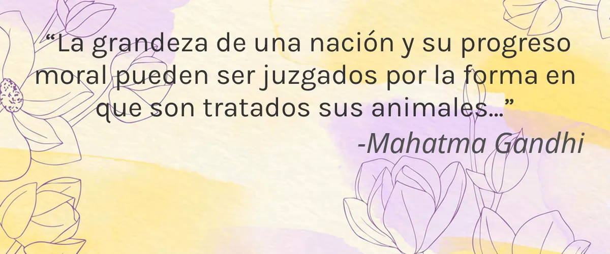 Cleyo 4 Cruelty Free Cleyo cita-Mahatma Gandhi