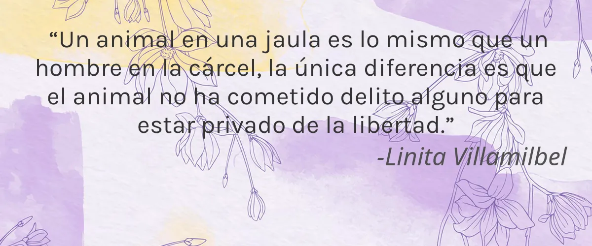 CLT International 4 Cruelty Free CLT International cita-Linita Villamilbel