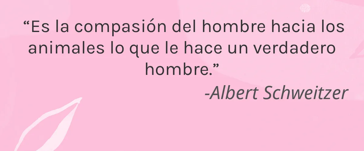 cocokind 4 Cruelty Free cocokind cita-Albert Schweitzer