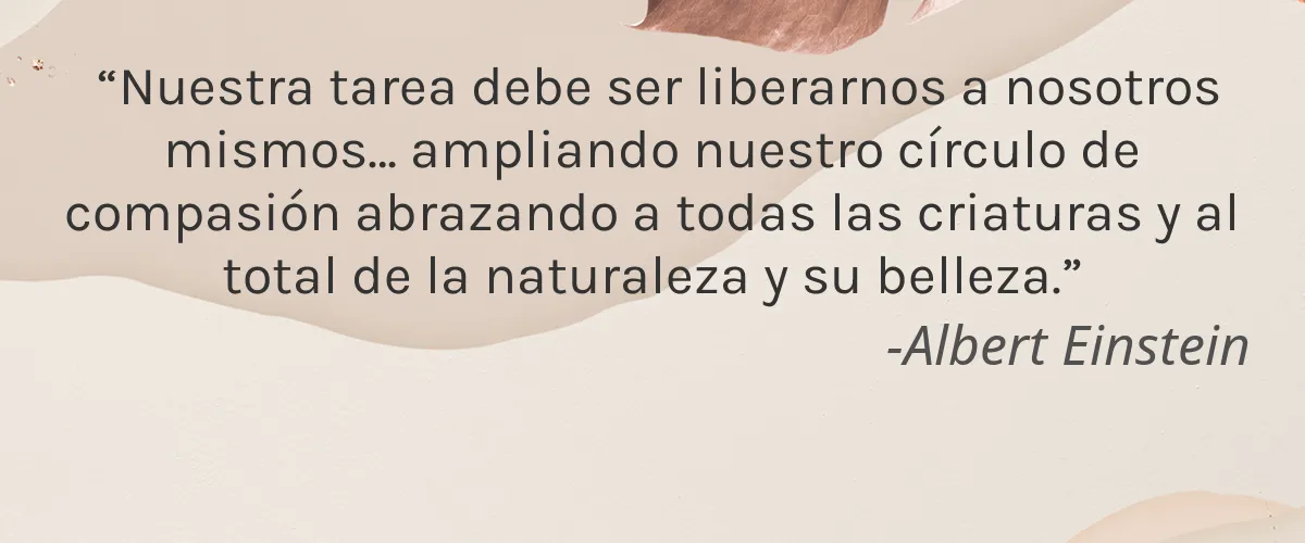 CODE Beautiful 4 Cruelty Free CODE Beautiful cita-Albert Einstein