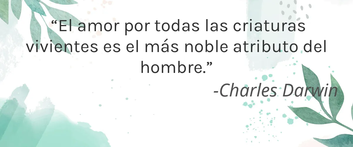 COMA ORGANICS (was SOE Bioremedies) 4 Cruelty Free COMA ORGANICS (was SOE Bioremedies) cita-Charles Darwin