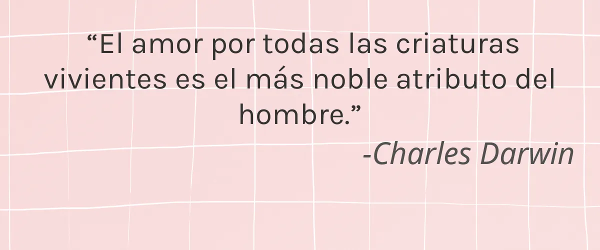 Crate 61 Organics 4 Cruelty Free Crate 61 Organics cita-Charles Darwin