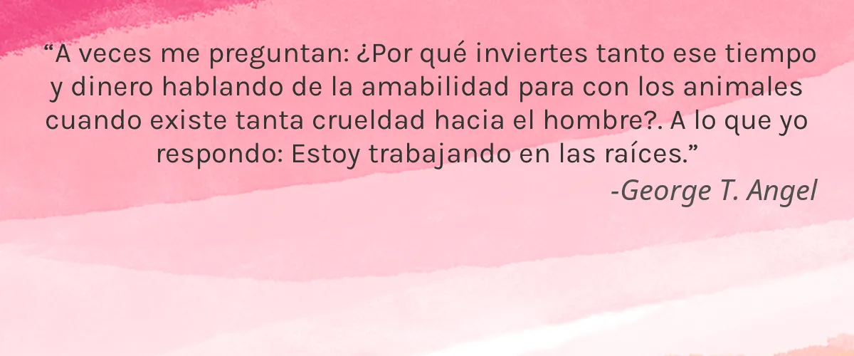 Crofasi Cosmeticos 4 Cruelty Free Crofasi Cosmeticos cita-George T. Angel