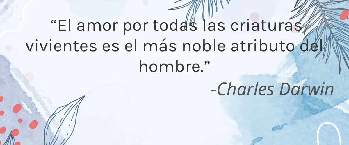 Crystal Bar Soap, Inc. 4 Cruelty Free Crystal Bar Soap, Inc. cita-Charles Darwin