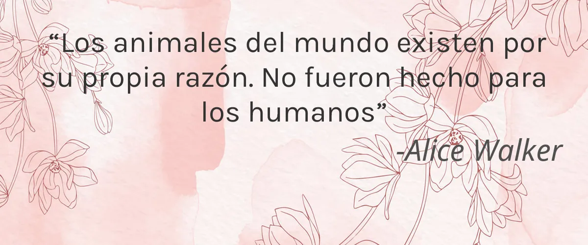 Cuerpa 4 Cruelty Free Cuerpa cita-Alice Walker