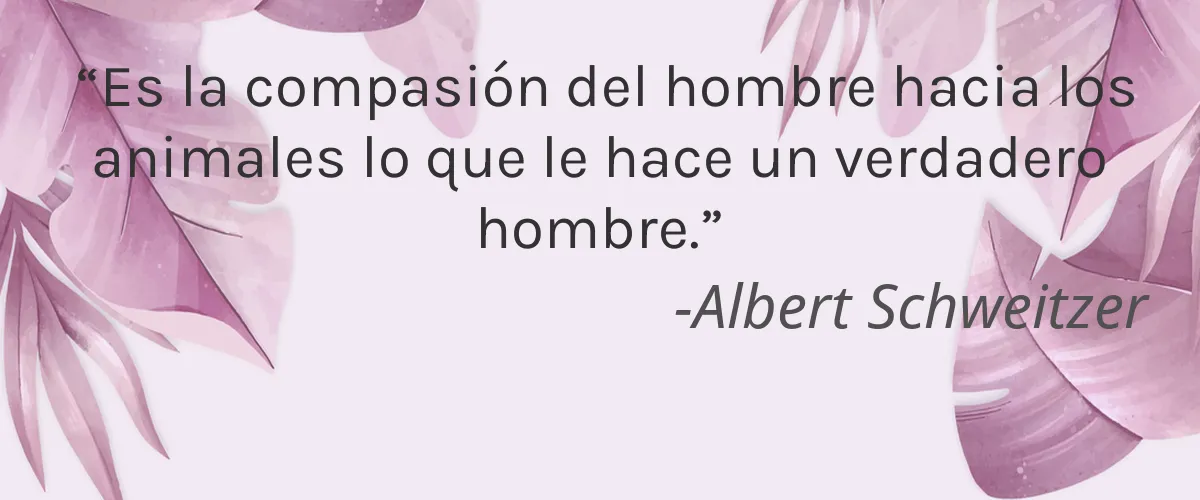 Daby 4 Cruelty Free Daby cita-Albert Schweitzer