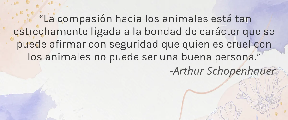 Dancing Dingo 4 Cruelty Free Dancing Dingo cita-Arthur Schopenhauer