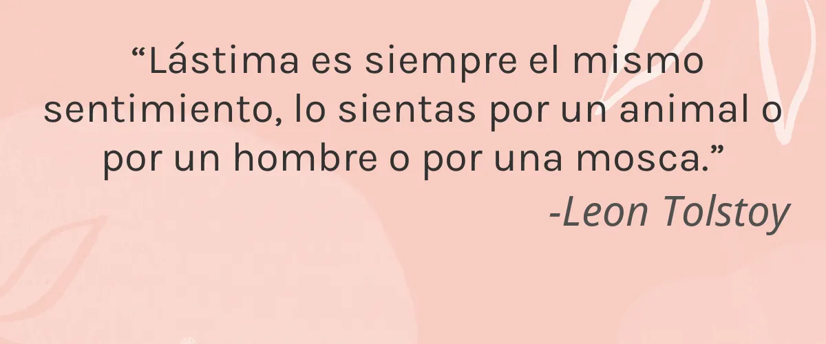 Das Boom 4 Cruelty Free Das Boom cita-Leon Tolstoy