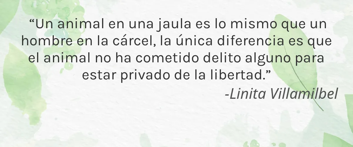 DayTox 4 Cruelty Free DayTox cita-Linita Villamilbel