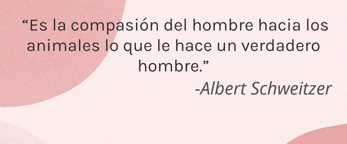 DE LORENZO 4 Cruelty Free DE LORENZO cita-Albert Schweitzer