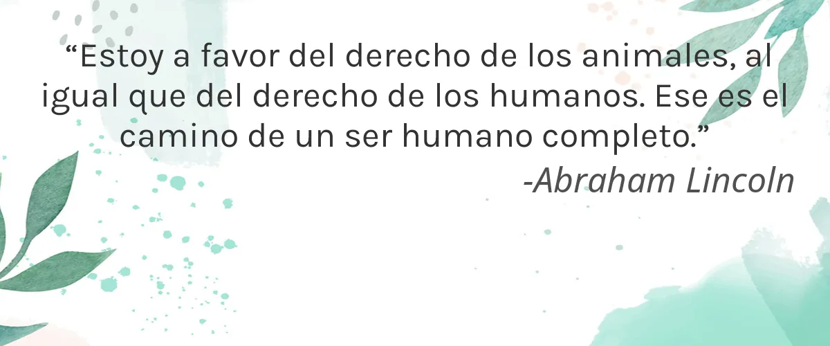 Cruelty Free de'bee signature balmst cita-Abraham Lincoln