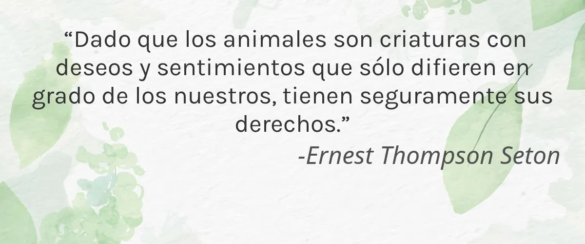 Cruelty Free Deep Steep cita-Ernest Thompson Seton